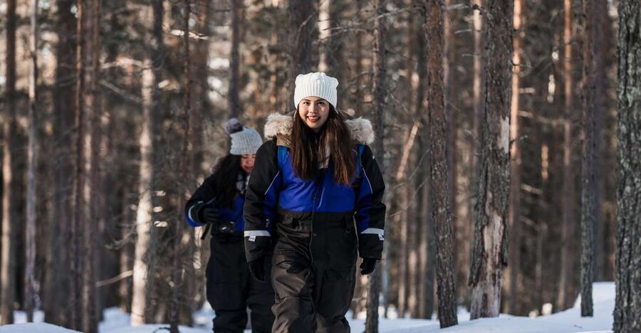 Rovaniemi: Winter Wilderness Snowshoeing Trip - Price and what you actually get for $104