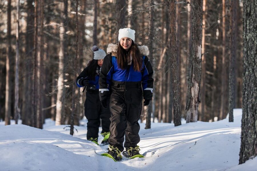 Rovaniemi: Winter Wilderness Snowshoeing Trip - Pickup limits and what to pack for real winter comfort