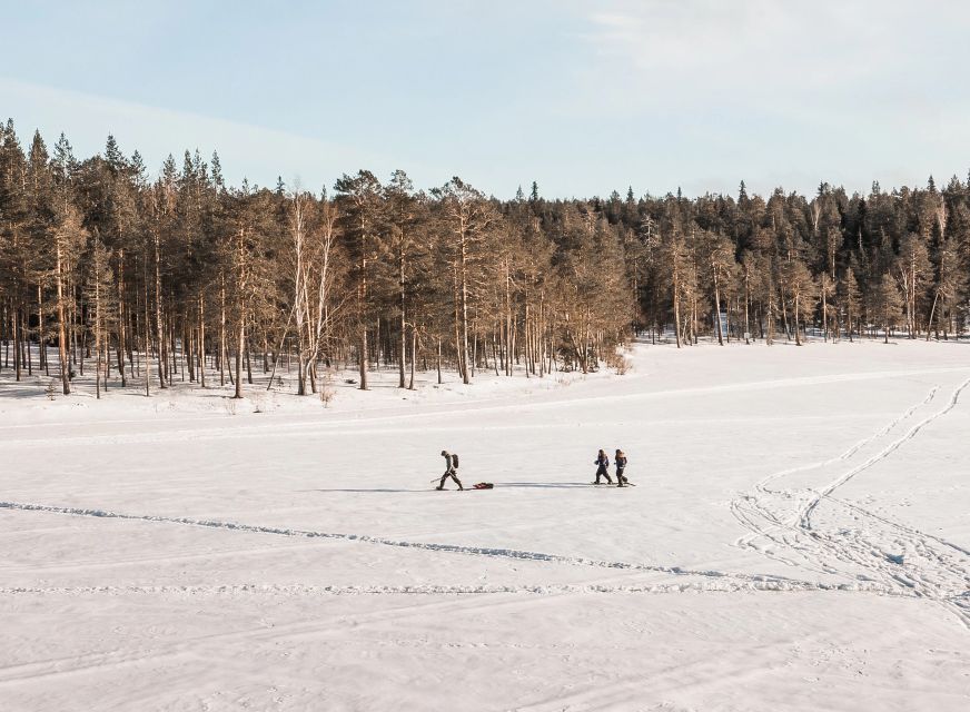 Rovaniemi: Winter Wilderness Snowshoeing Trip - Final verdict: should you book this Rovaniemi winter wilderness snowshoeing trip?