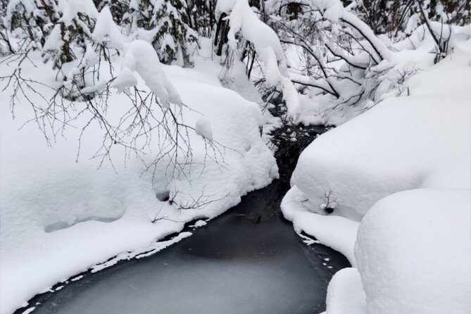 Rovaniemi: Winter Wonderland Vikaköngäs Hiking Tour & BBQ - Key points before you go