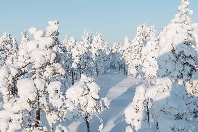 Rovaniemi: Winter Wonderland Vikaköngäs Hiking Tour & BBQ - Vikaköngäs Hiking Tour: why this Rovaniemi stop feels magical