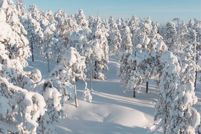 Rovaniemi: Winter Wonderland Vikaköngäs Hiking Tour & BBQ - Guides who explain Lapland forests, not just point at trees