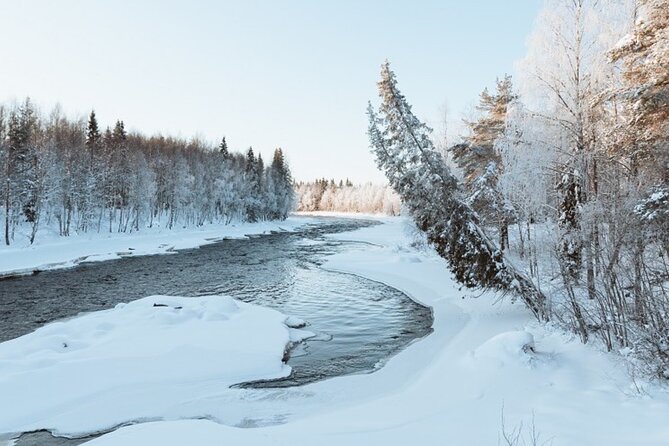 Rovaniemi: Winter Wonderland Vikaköngäs Hiking Tour & BBQ - Getting there and keeping the group small (pickup, start time, max 8)