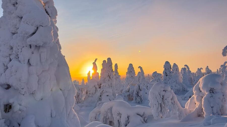 Ruka: Riisitunturi National Park with lunch. - Key highlights worth your attention