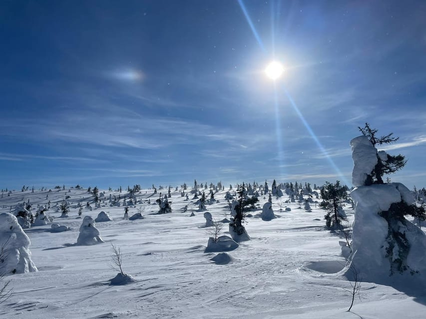 Ruka: Riisitunturi National Park with lunch. - Riisitunturi’s special feeling, and why mindfulness fits here