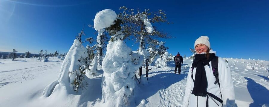 Ruka: Riisitunturi National Park with lunch. - The Alfredo and Tuulia factor: language, culture, and calm leadership