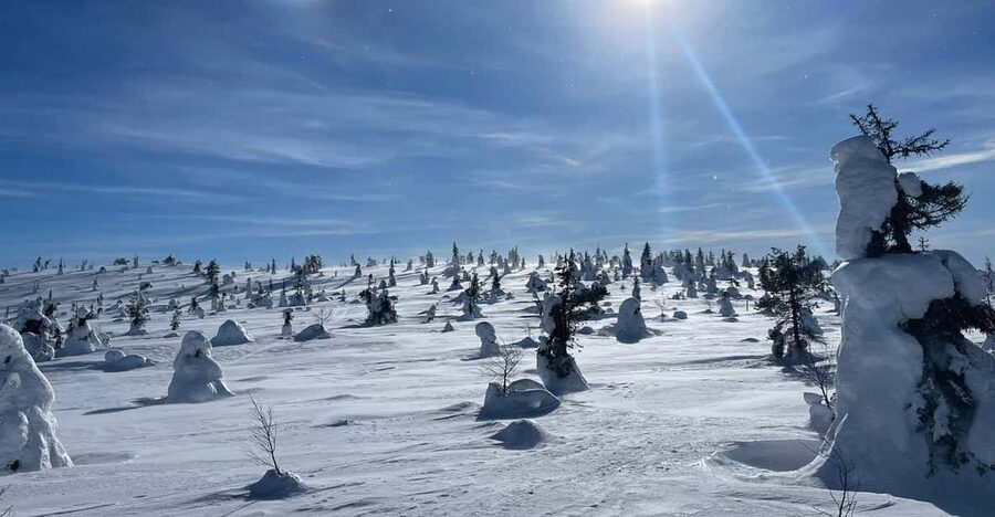 Ruka: Riisitunturi National Park with lunch. - Pickup from Ruka or Kuusamo, and how a max-10 group changes the day