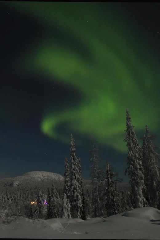Ruka: Searching for the northern lights with snowshoes - Learning animal tracks while you track the aurora