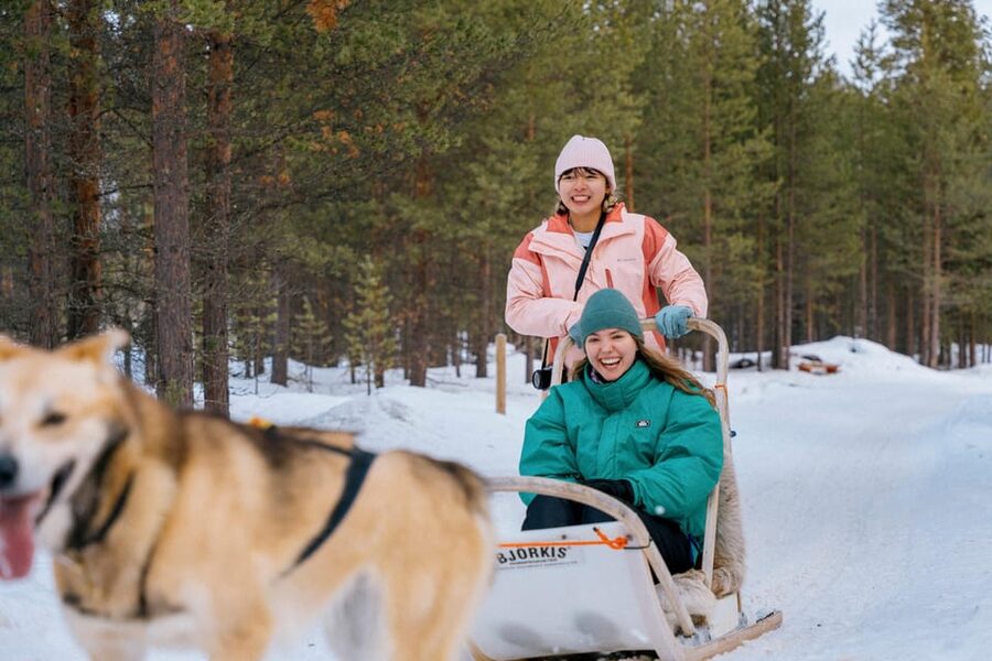 Saariselkä: 10KM Husky Safari with kennel visit - Key things that make this husky safari worth it