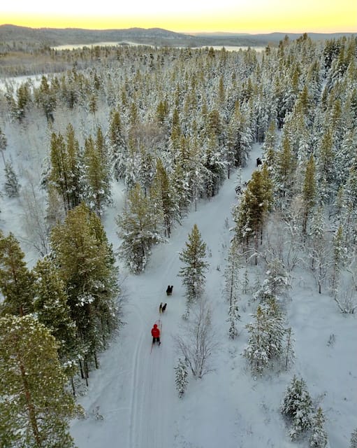 Saariselkä: 10KM Husky Safari with kennel visit - Saariselkä musher mode, the main reason this works
