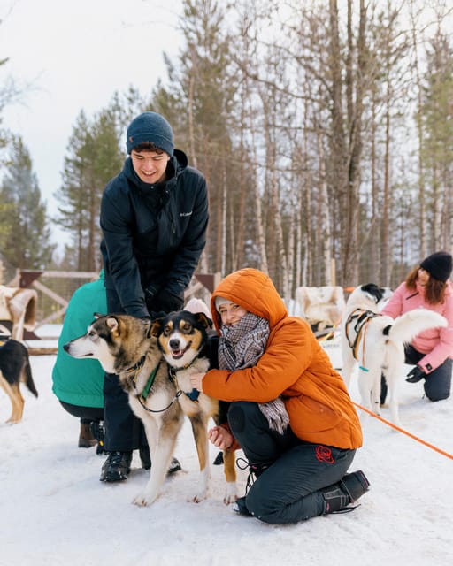 Saariselkä: 10KM Husky Safari with kennel visit - Photo and role logistics: passenger gets the camera, driver gets the skill