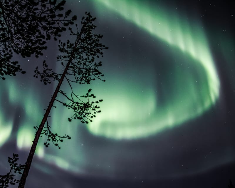 Saariselkä: Aurora Photo Tour by Car with Transfer & Drinks - What went right for people, and why those details actually matter