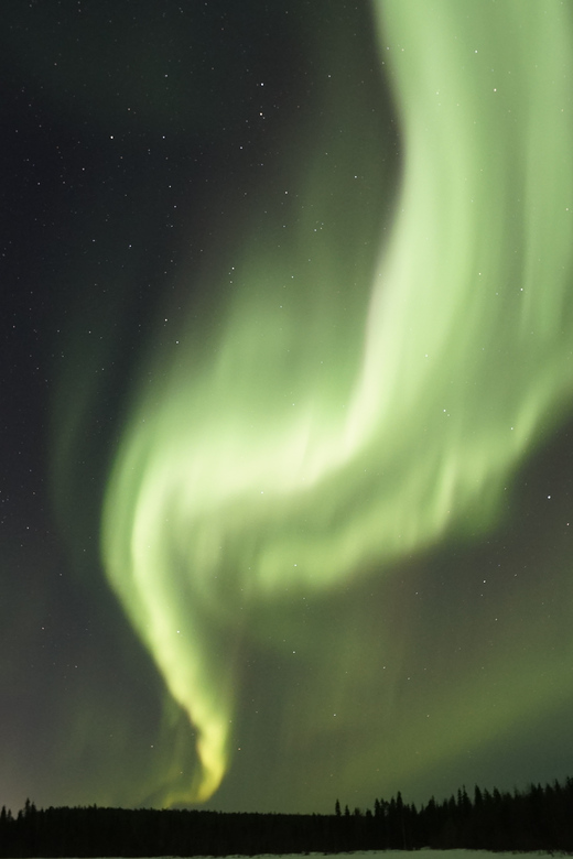 Saariselkä: Aurora Photo Tour by Car with Transfer & Drinks - Should you book? My straightforward take