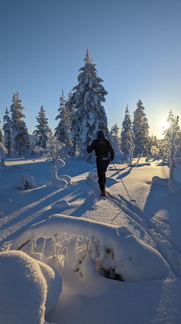 Saariselkä: Back-Country Skiing Guided Tour - Key moments that make this tour worth your time