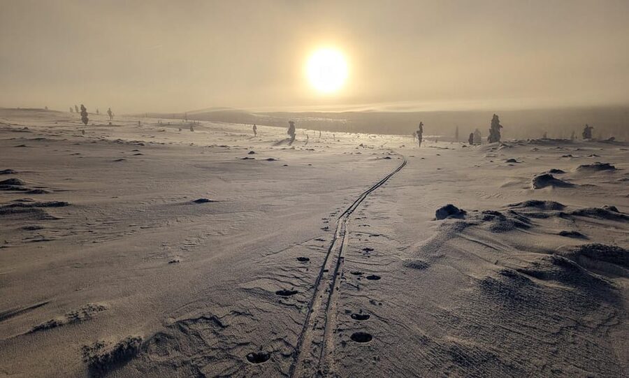 Saariselkä: Back-Country Skiing Guided Tour - The on-snow flow: learning, choosing your route, then settling in