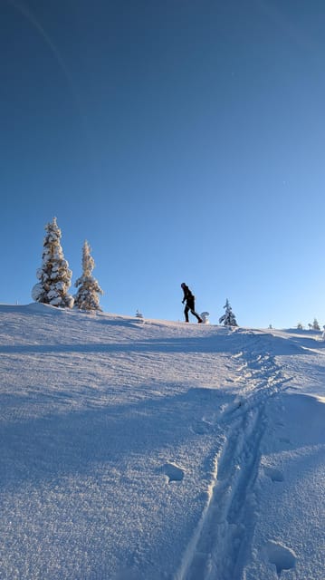 Saariselkä: Back-Country Skiing Guided Tour - Price, duration, and the value of guided off-trail skiing
