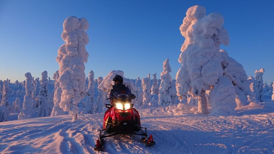 Saariselkä: Evening Snowmobile Tour with Fire & picnic - Night Snowmobile Safari From Saariselkä: The Vibe You’re Paying For