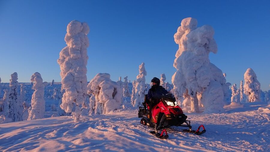 Saariselkä: Evening Snowmobile Tour with Fire & picnic - Should You Book This Evening Snowmobile Tour With Fire and Picnic?