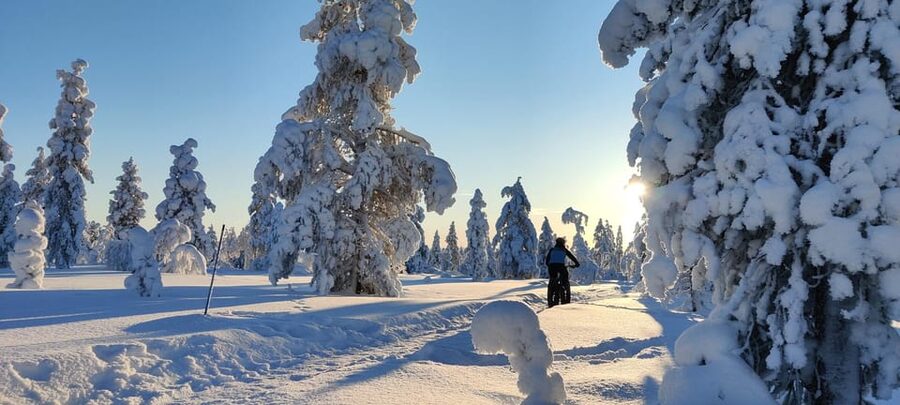 Saariselkä: Guided Fatbike Tour - Riding Fatbikes on Saariselkä’s Winter Trails