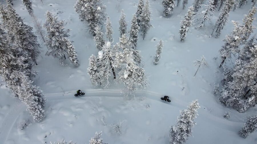 Saariselkä: Guided Fatbike Tour - Forest Trails vs Fells: How Difficulty Really Changes