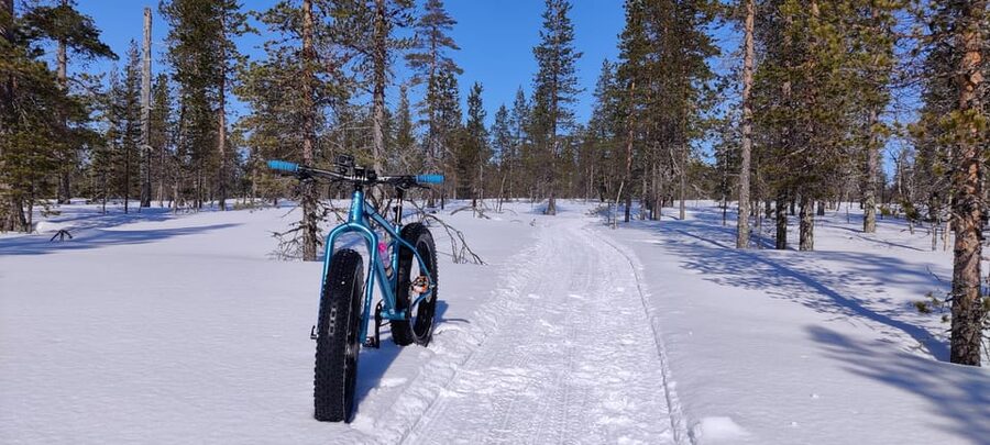 Saariselkä: Guided Fatbike Tour - Pace, Group Size, and Why It Keeps the Tour Fun