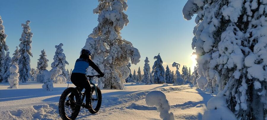 Saariselkä: Guided Fatbike Tour - Your Bike Choice Matters: E-Fatbike or Bio Fatbike