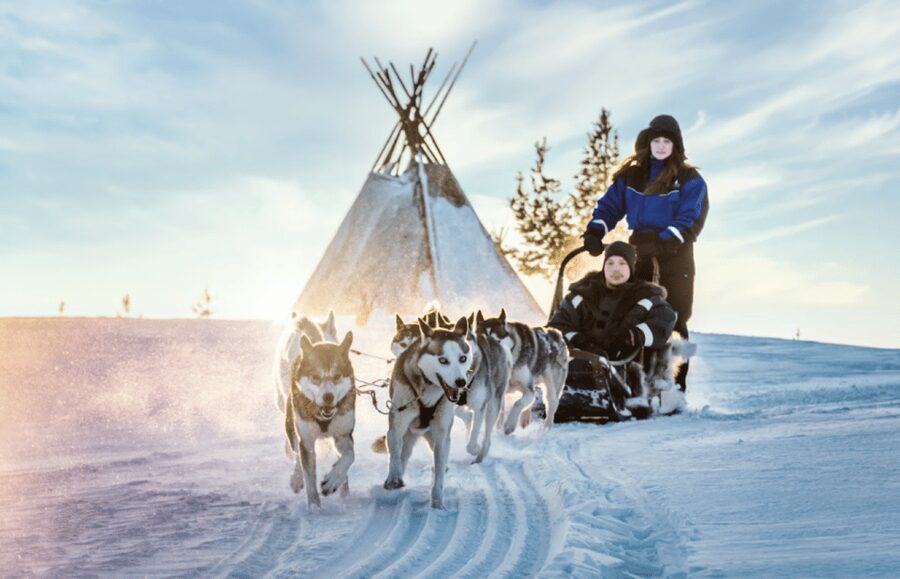Saariselkä: Husky Safari with Aurora Borealis Hunt - Key things that make this Saariselkä husky safari special