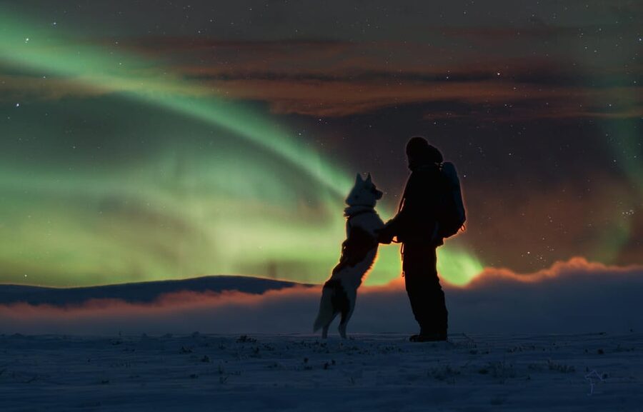 Saariselkä: Husky Safari with Aurora Borealis Hunt - Why Saariselkä is such a good base for huskies and auroras