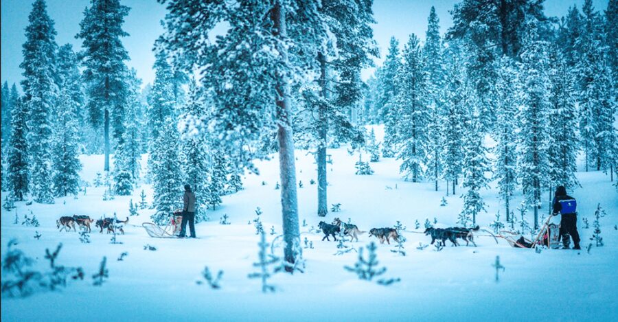 Saariselkä: Husky Safari with Aurora Borealis Hunt - Pickup and transfers: how the van time affects the overall vibe