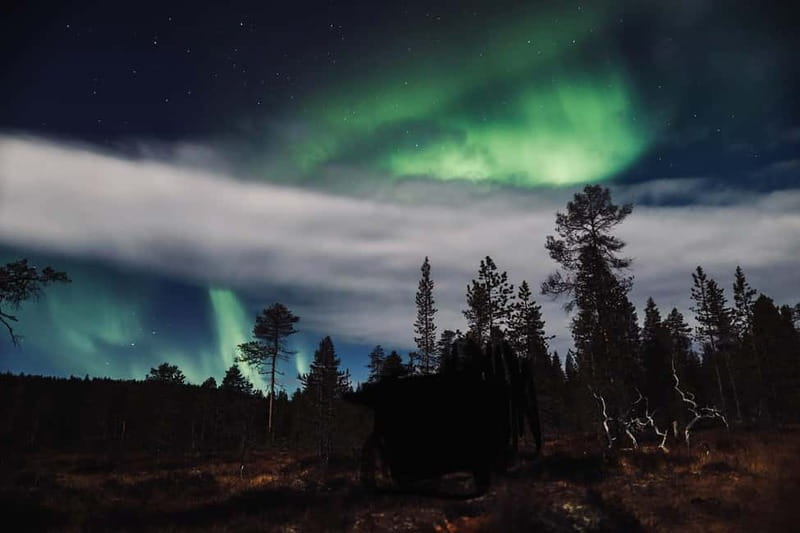 Saariselkä,Kakslauttanen: Aurora Hunting & Photography Tour. - Photo support and what you should expect to get