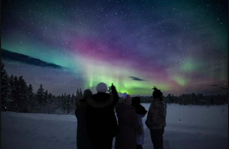 Saariselkä,Kakslauttanen: Aurora Hunting & Photography Tour. - Price and value: is about $154 per person fair?