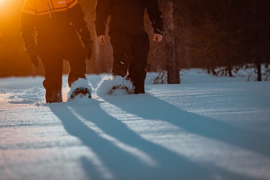 Saariselkä: Northern Lights Hunting Snowshoe Trip - Saariselkä after dark, what this 2.5-hour format gets right