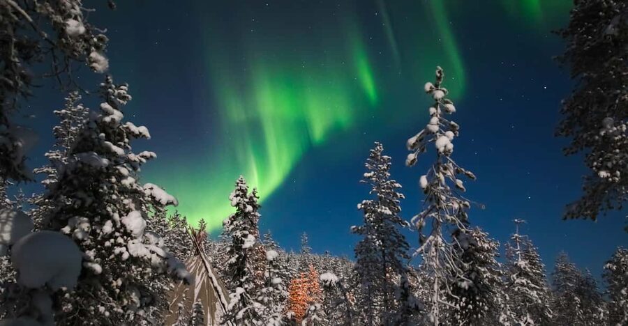 Saariselkä: Northern Lights Hunting Snowshoe Trip - Hot drinks halfway: the comfort break that keeps the tour enjoyable