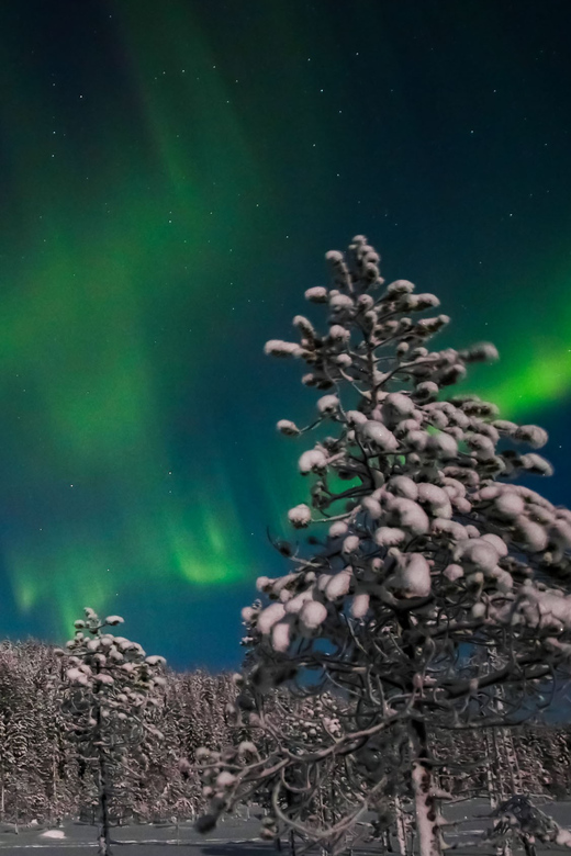 Saariselkä: Northern Lights Hunting Snowshoe Trip - The few practical points that can make or break your evening