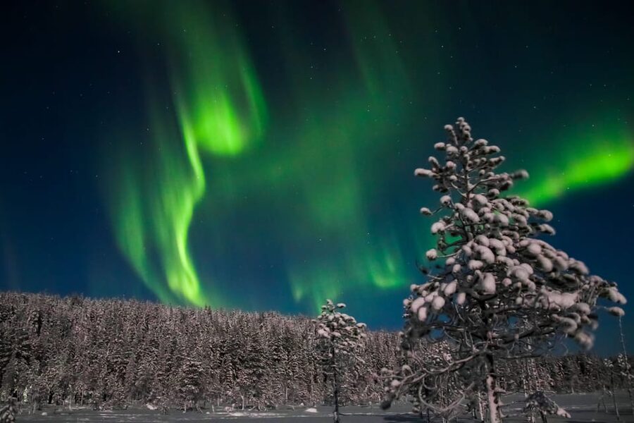 Saariselkä: Northern Lights Hunting Snowshoe Trip - Snowshoe lesson in deep snow, and how to not fight your feet