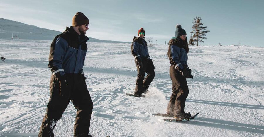 Saariselkä: Scenic Snowshoe Safari - Following the guided paths: nature spotting and Lappish culture talk