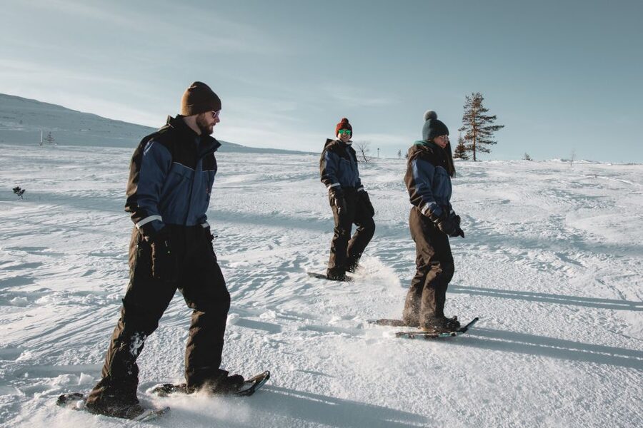 Saariselkä: Scenic Snowshoe Safari - Learning to walk in deep snow without the panic