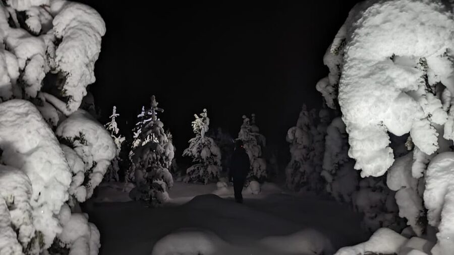 Saariselkä: Snowshoeing Tour in Urho Kekkonen National Park - Key Points at a Glance