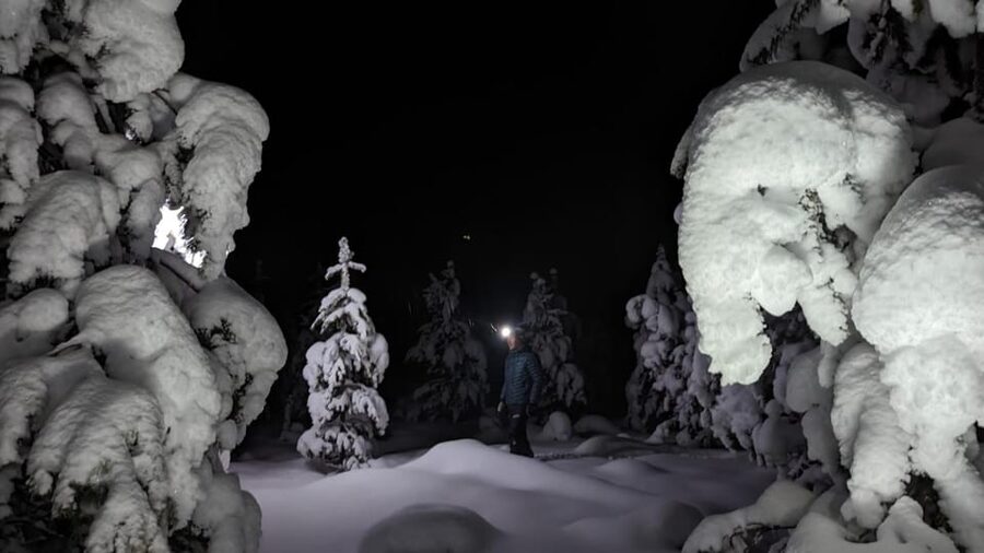 Saariselkä: Snowshoeing Tour in Urho Kekkonen National Park - Price and Value for a 2 to 4 Hour Tour Near the Park Border