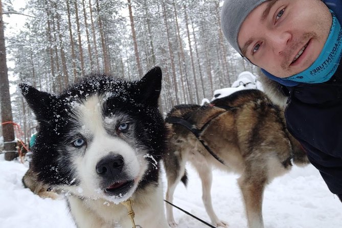 Santa Claus Village Guided Tour & Arctic Animals Adventure - Why this Santa and Animal combo fits real trip schedules
