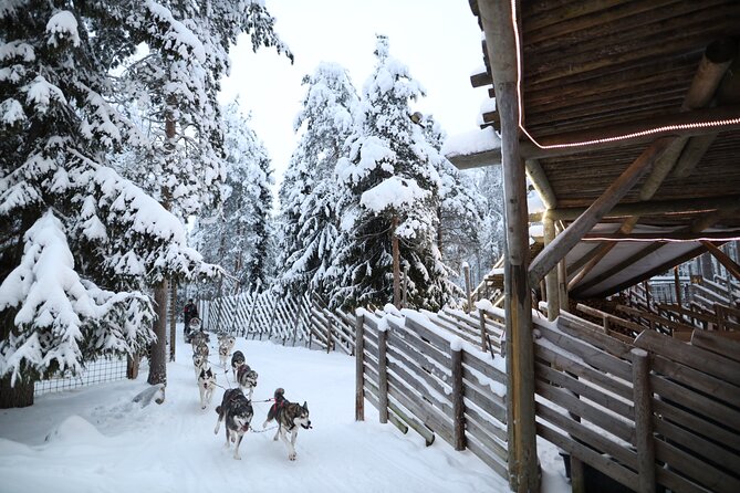 Santa Claus Village, Husky and Reindeers Combo Safari - Key highlights worth getting excited about