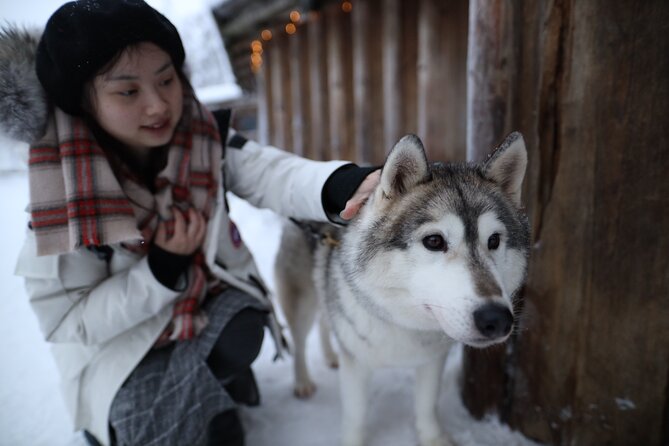 Santa Claus Village, Husky and Reindeers Combo Safari - Price and Logistics: Is $252.32 Per Person Worth It?
