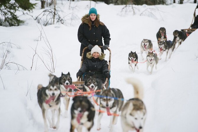 Santa's Reindeer & Husky Safari + Aurora BBQ in Rovaniemi - Aurora BBQ in a Kota: warm food while you wait