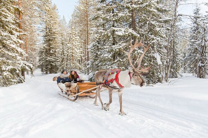 Santa's Reindeer & Husky Safari + Aurora BBQ in Rovaniemi - Price and value: what $289.04 buys in real terms