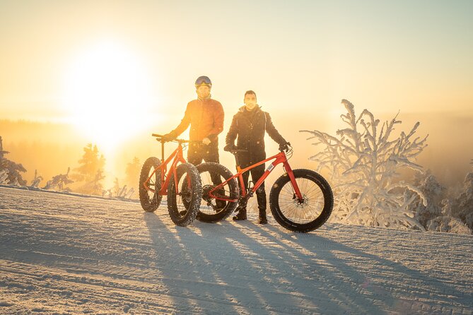 Scenic electric fat bike group ride in Rovaniemi - Key things to know before you ride
