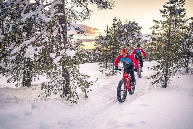 Scenic electric fat bike group ride in Rovaniemi - Ounasvaara Winter Trail for Different Skill Levels
