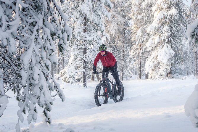 Scenic electric fat bike group ride in Rovaniemi - What the Small-Group Format Really Gives You