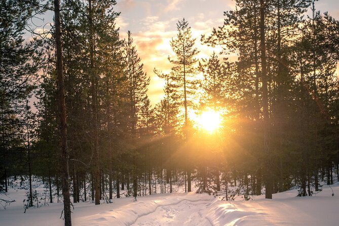 Scenic electric fat bike group ride in Rovaniemi - Timing, Duration, and What Your Morning Should Feel Like