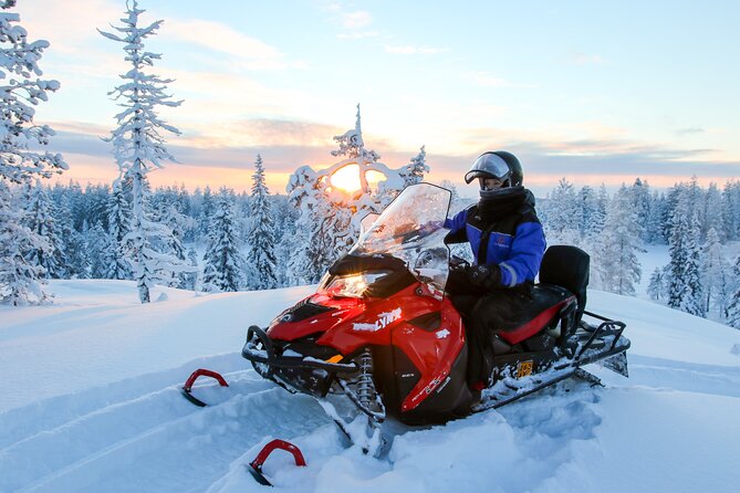 Scenic Snowmobile Safari in Saariselkä - Key Highlights You Will Feel (Not Just Hear)
