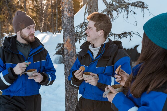 Scenic Snowmobile Safari in Saariselkä - The Big Idea: A 2-Hour Ride That Teaches You